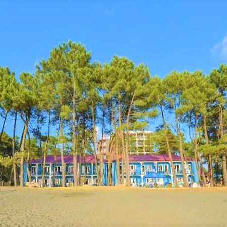 Evrika Hotel Shekvetili Kültér fotó