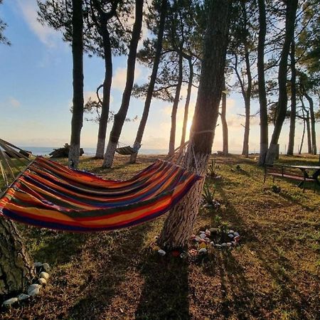 Evrika Hotel Shekvetili Kültér fotó