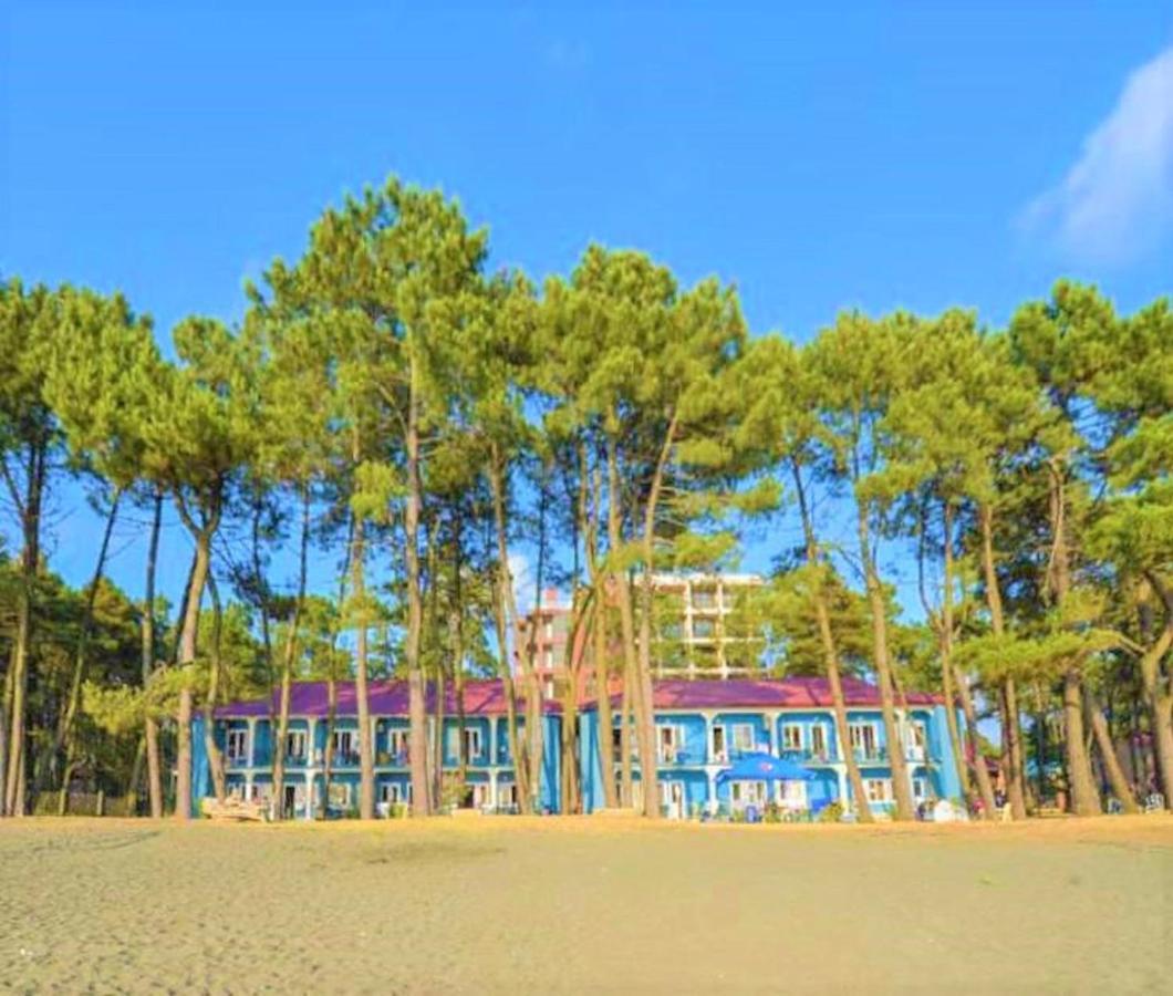 Evrika Hotel Shekvetili Kültér fotó