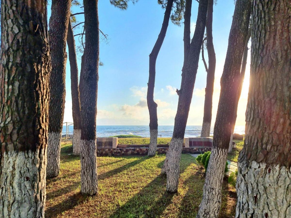 Evrika Hotel Shekvetili Kültér fotó