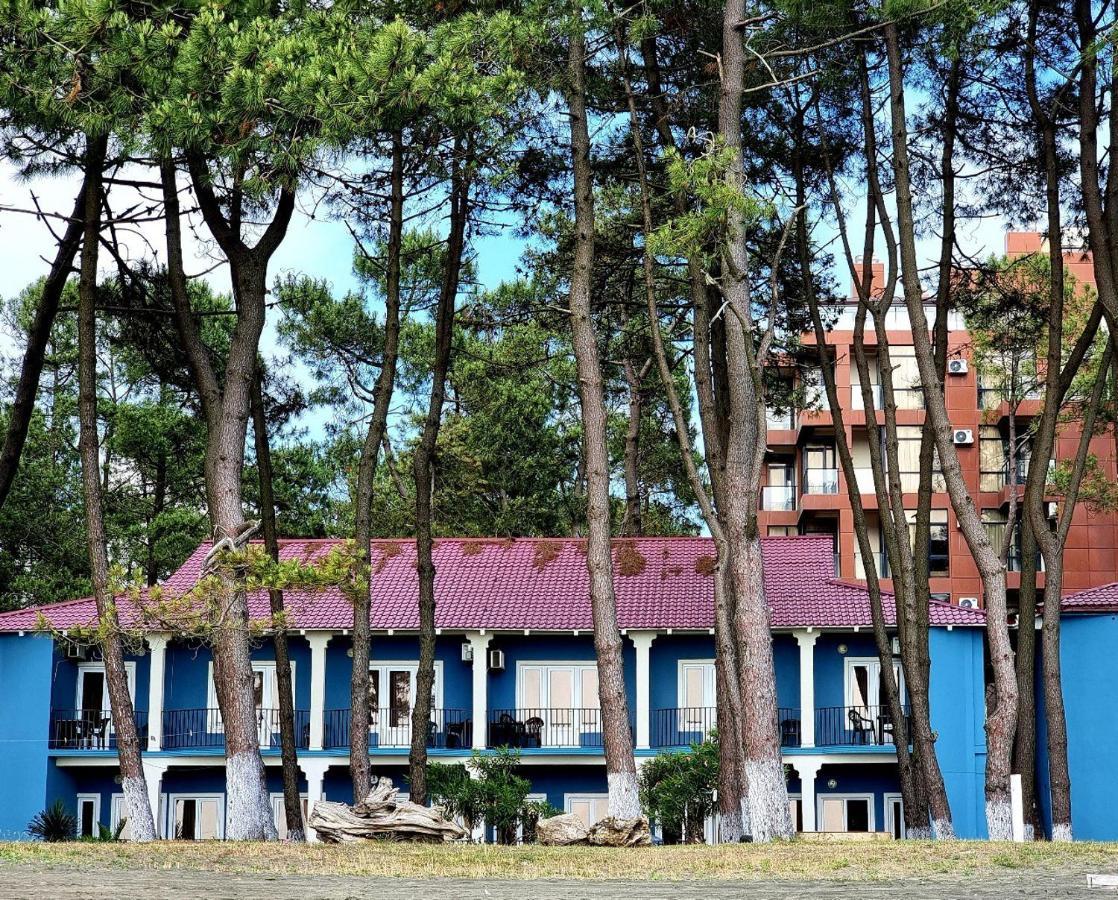 Evrika Hotel Shekvetili Kültér fotó
